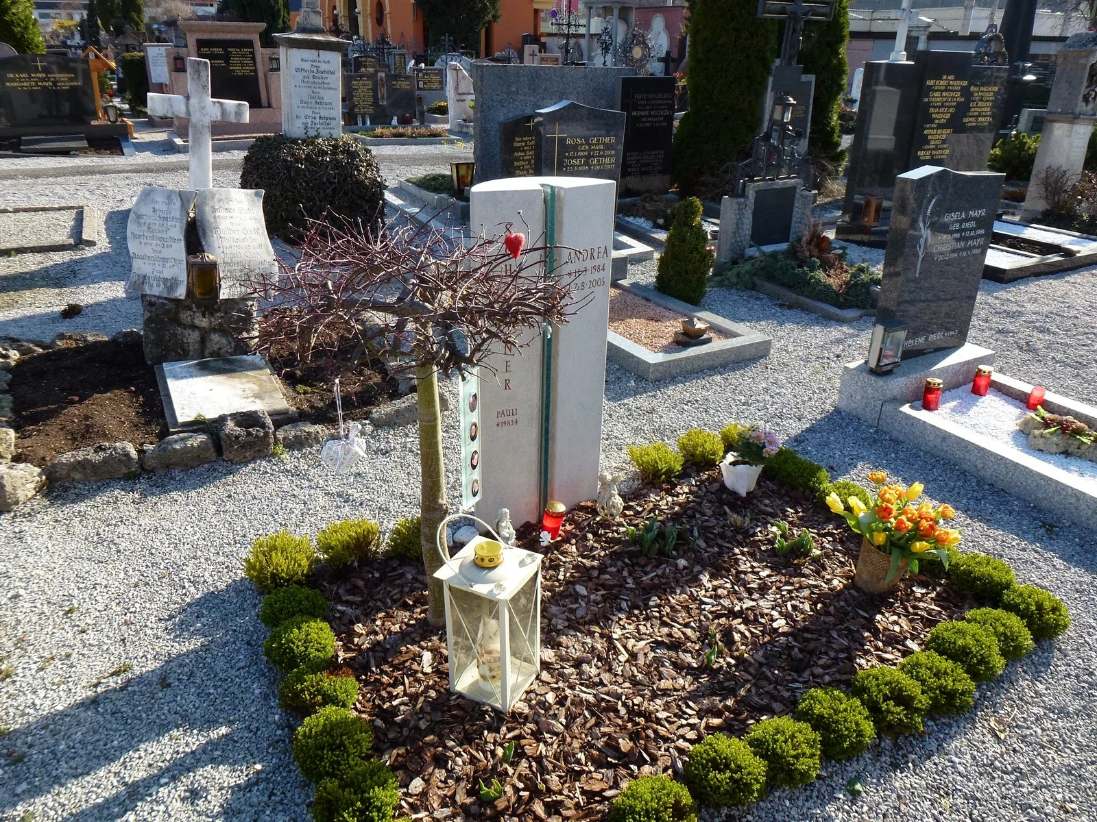 Heller Grabstein mit Glasband auf einem bepflanzten Grab